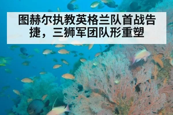 图赫尔执教英格兰队首战告捷,三狮军团队形重塑