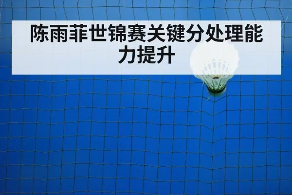 badminton training court