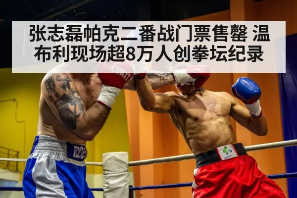 Zhang Zhilei boxing fight