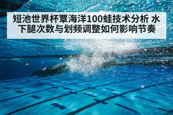 短池世界杯覃海洋100蛙技术分析 水下腿次数与划频调整如何影响节奏